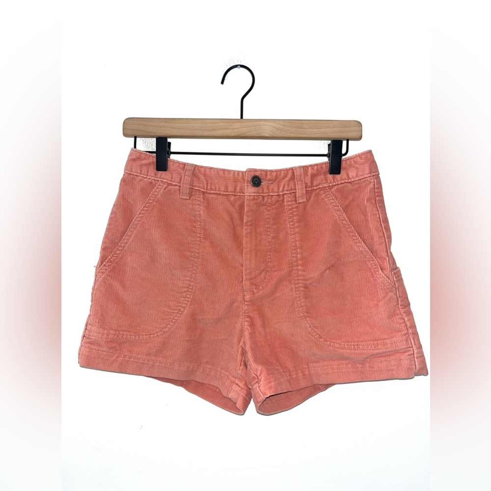 Patagonia Womens Cord Stand Up Pink Shorts Size 6